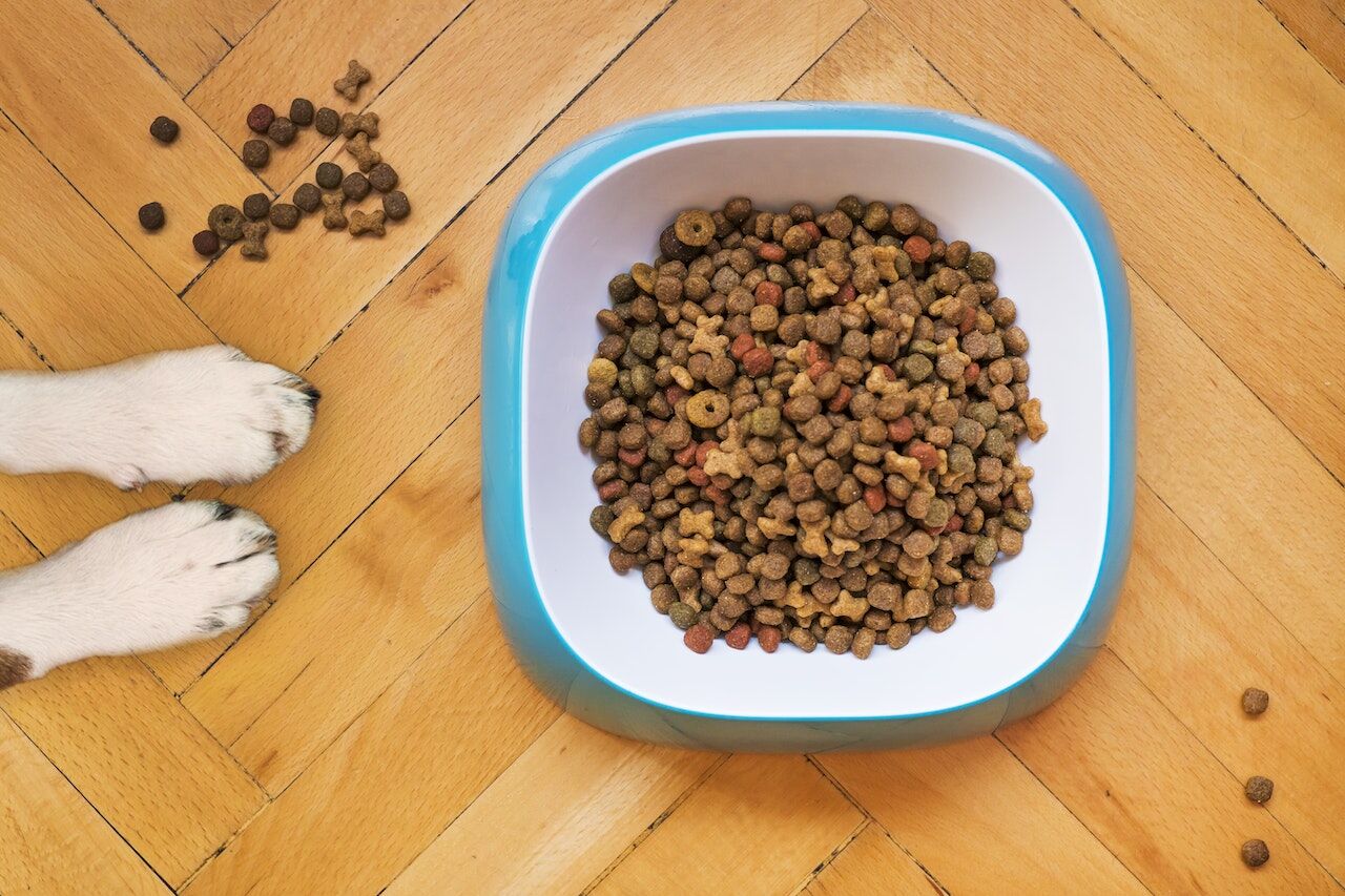 Ensure your dog's dry food contains quality ingredients